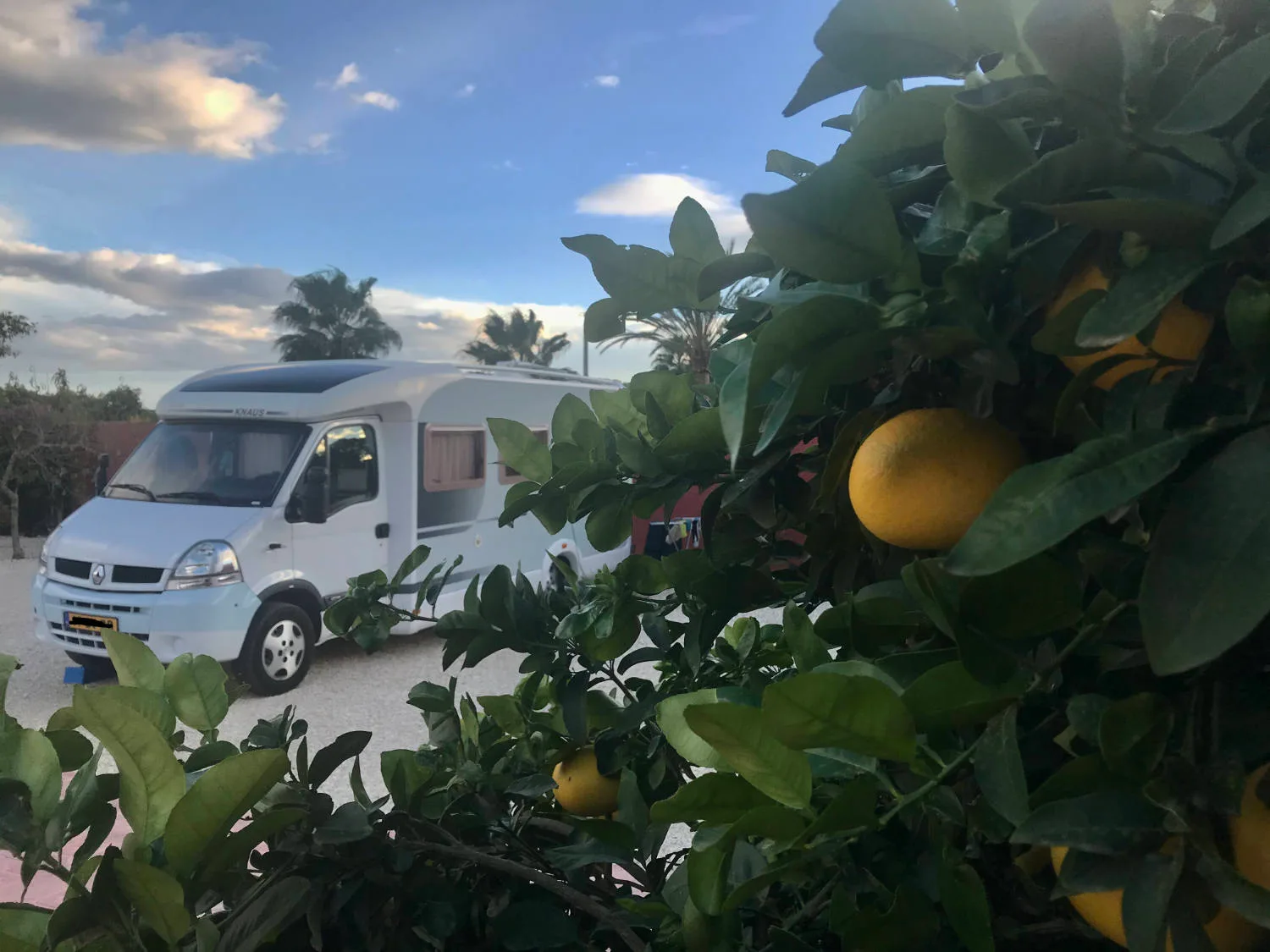 Tussen het grapefruit in Villa Marechall