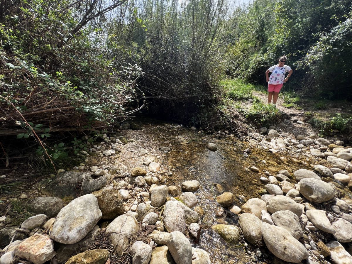 Toll La Senia, España.