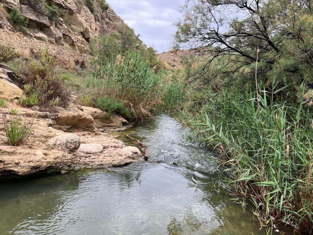 Op weg naar El Pantano de Elche horen we het grommel bij de waterval.