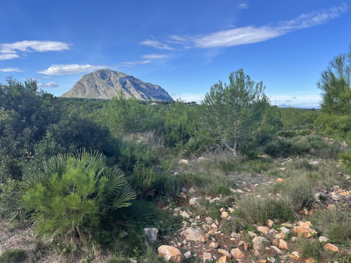 In de verte ontwaren we de massive Montgo.