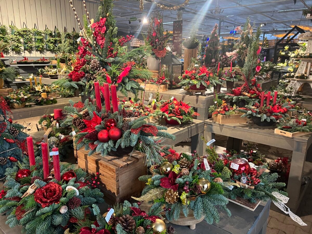 Kerst bij Almeerplant