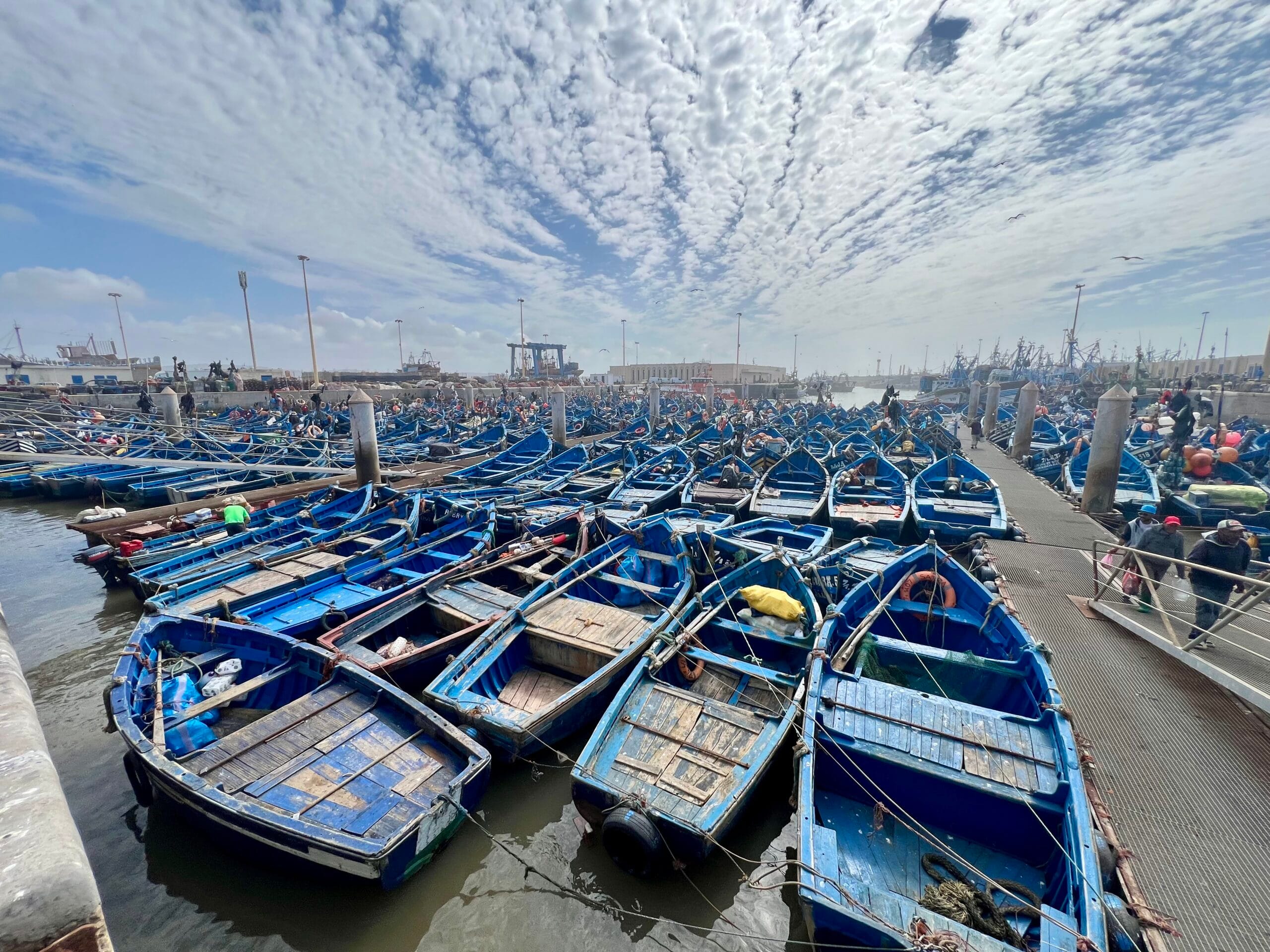 Essaouira, vis en blauwe bootjes
